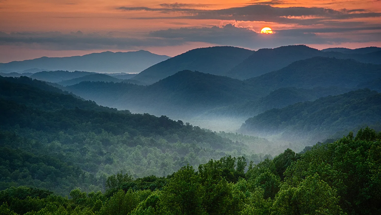 The Great Smoky Mountains National Park